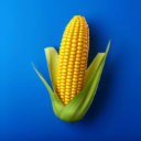 所有金沙电子游戏网址汉化版游戏下载-所有金沙电子游戏网址v3.25.0版下载